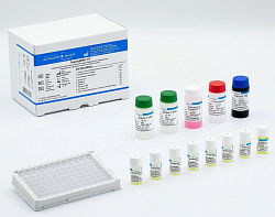 Диагностика функций щитовидной железы