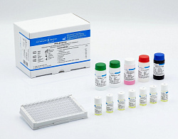 Диагностика анемии