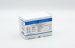 Онкомаркеры