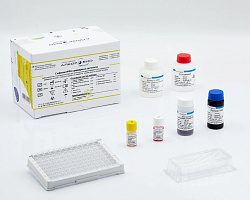 Инфекционная диагностика